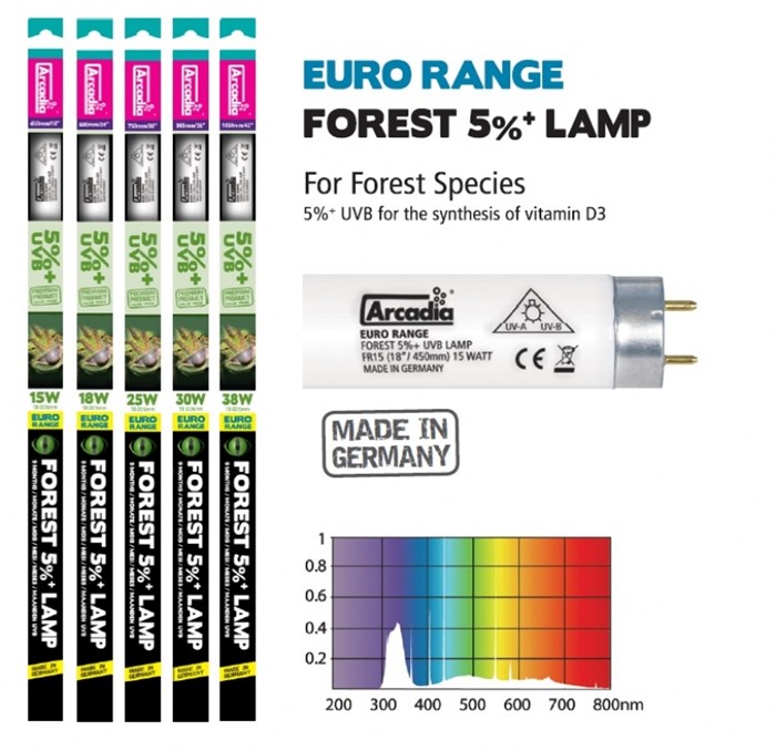 FR18 – ARCADIA FOREST 5%, 60 CM